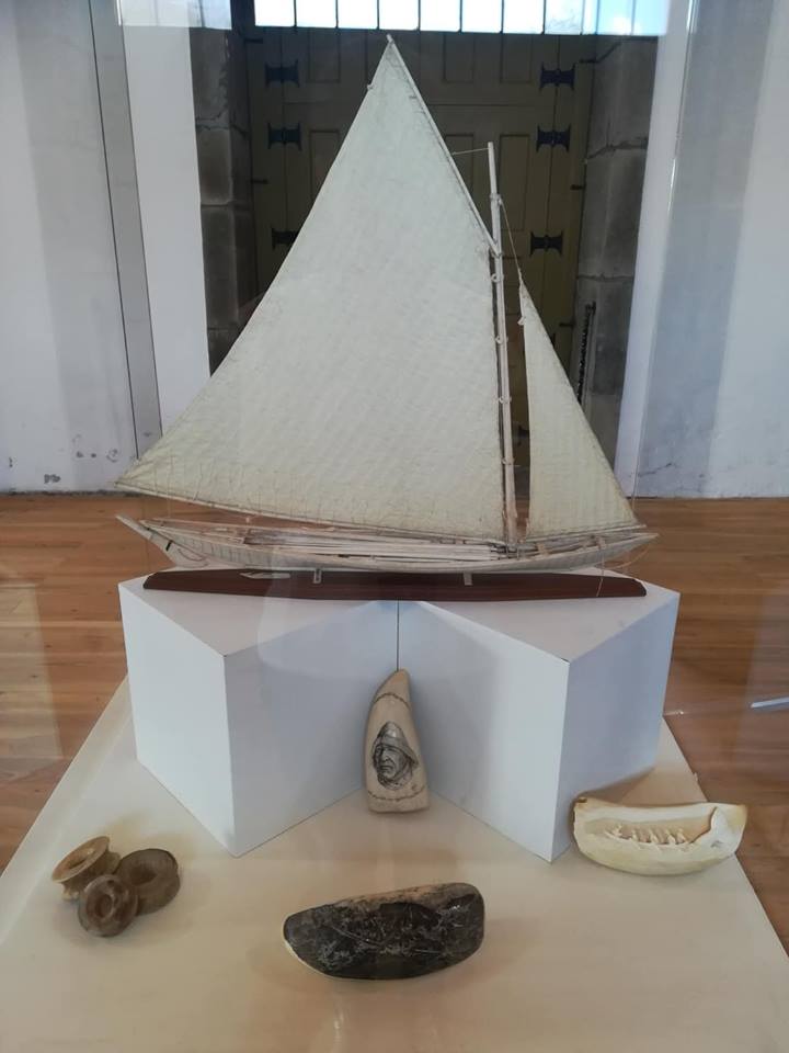 Museu Das Flores Marfim Do Mar Scrimshaw